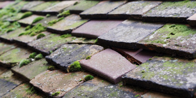 Croydon roof repair costs